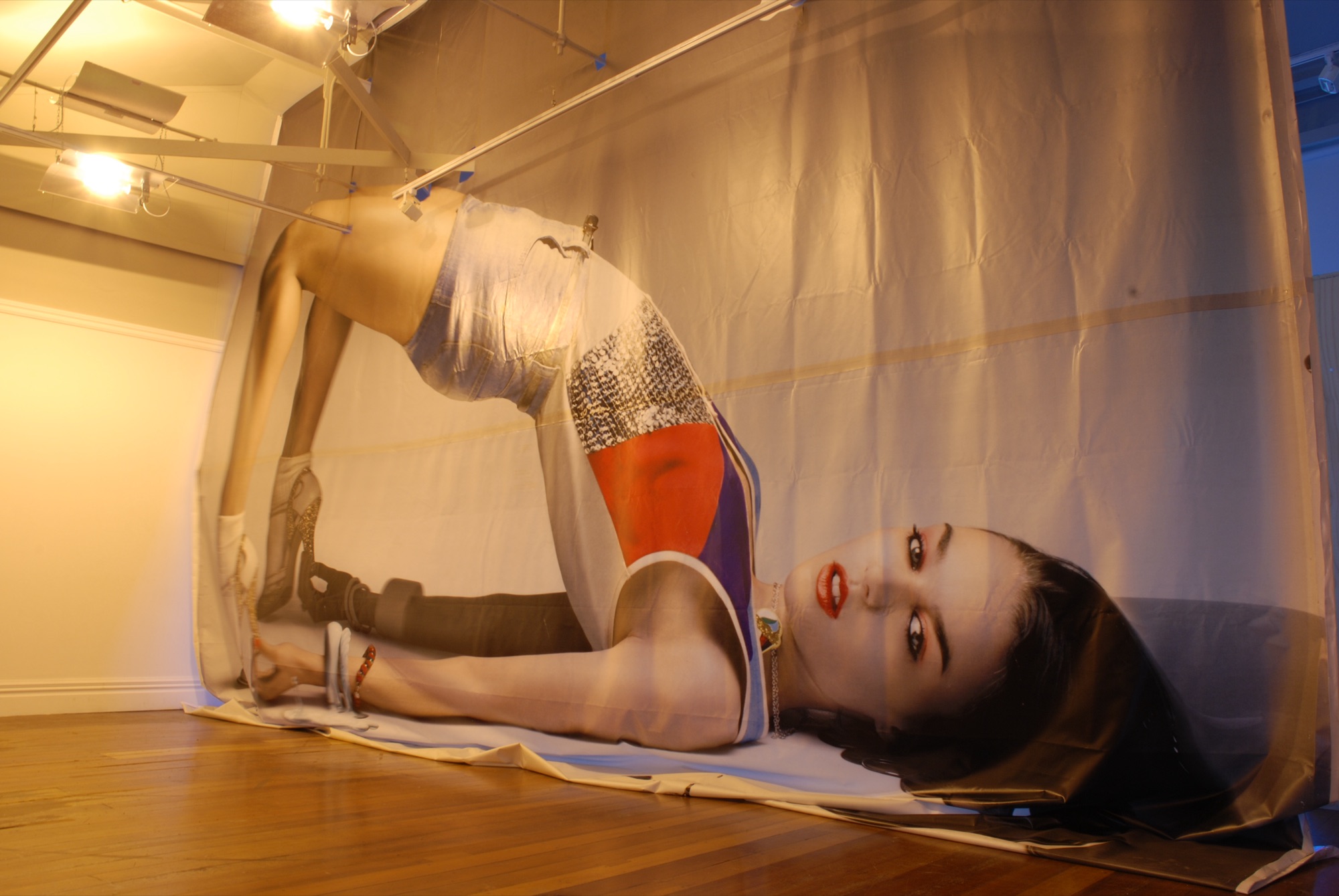 Believing in Politics | Lee Jeans billboard skin, hydroponic grow lamps | variable dimensions | Enjoy Gallery, Wellington | 2008 | https://enjoy.org.nz/believing-in-politics