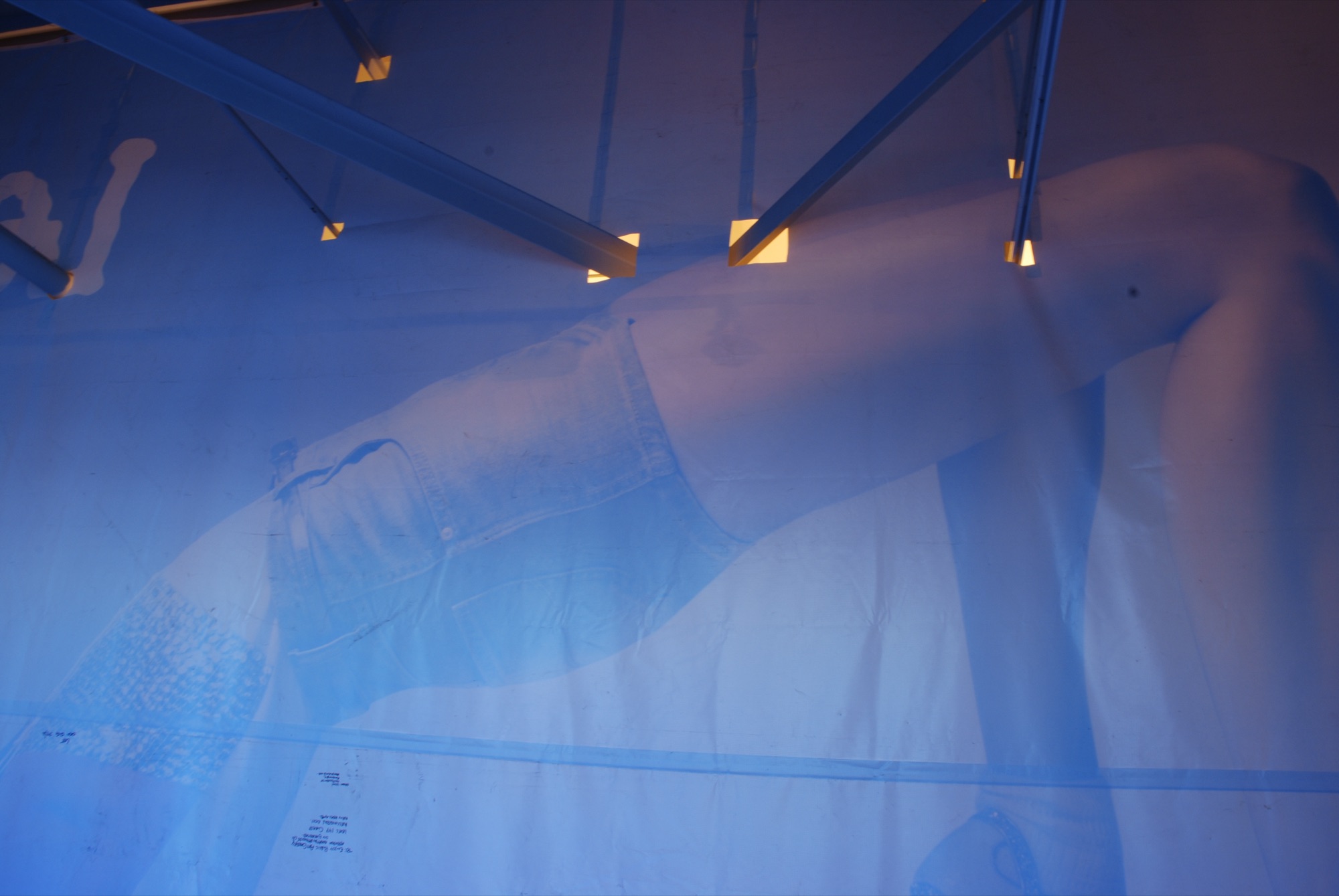 Believing in Politics | Lee Jeans billboard skin, hydroponic grow lamps | variable dimensions | Enjoy Gallery, Wellington | 2008 | https://enjoy.org.nz/believing-in-politics