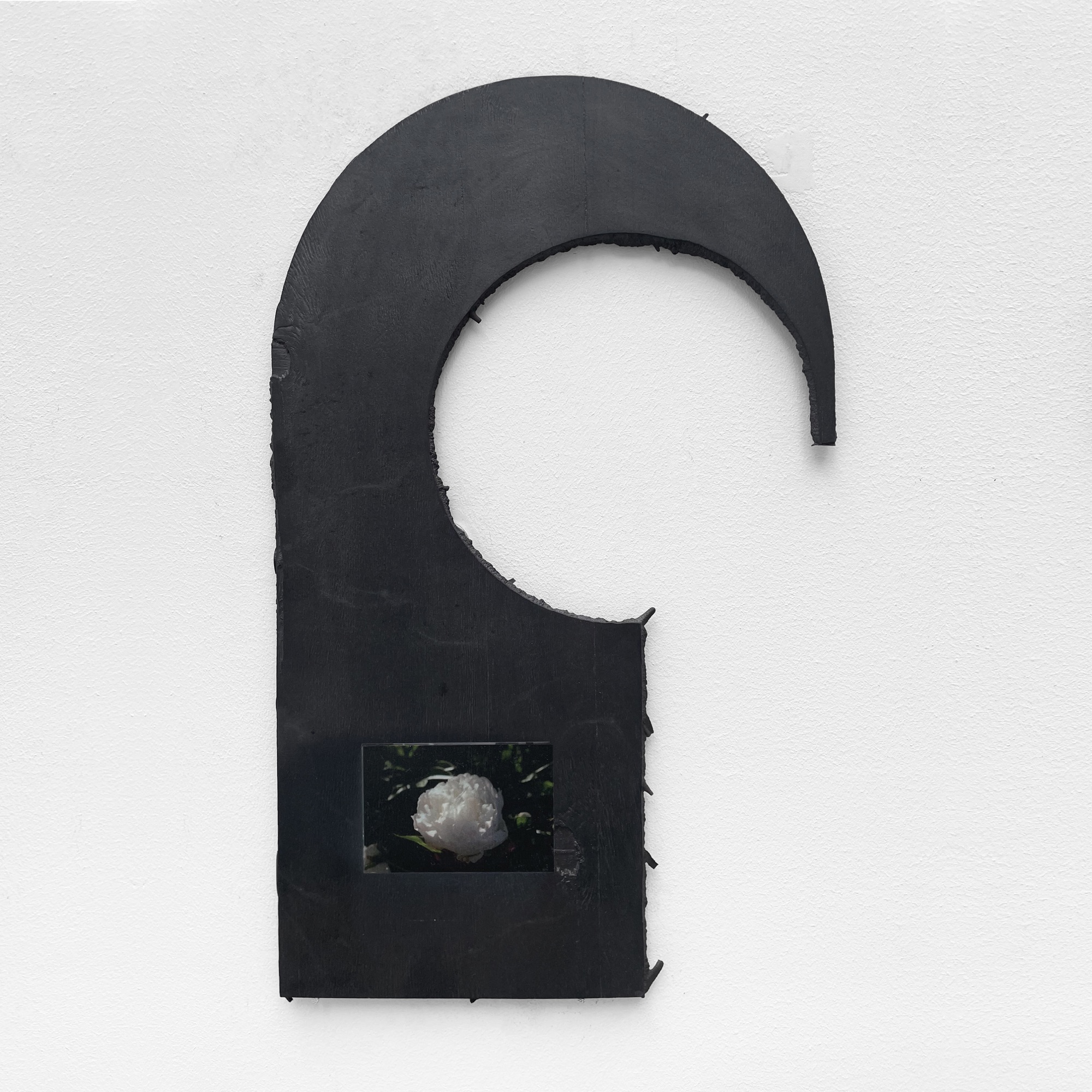 Black Hook Peony | 2023 | uv print on anodized cast aluminium | 48 x 30 cm | Neue Essener Kunstverein Jahresgabe | http://neuer-essener-kunstverein.de/jahresgaben