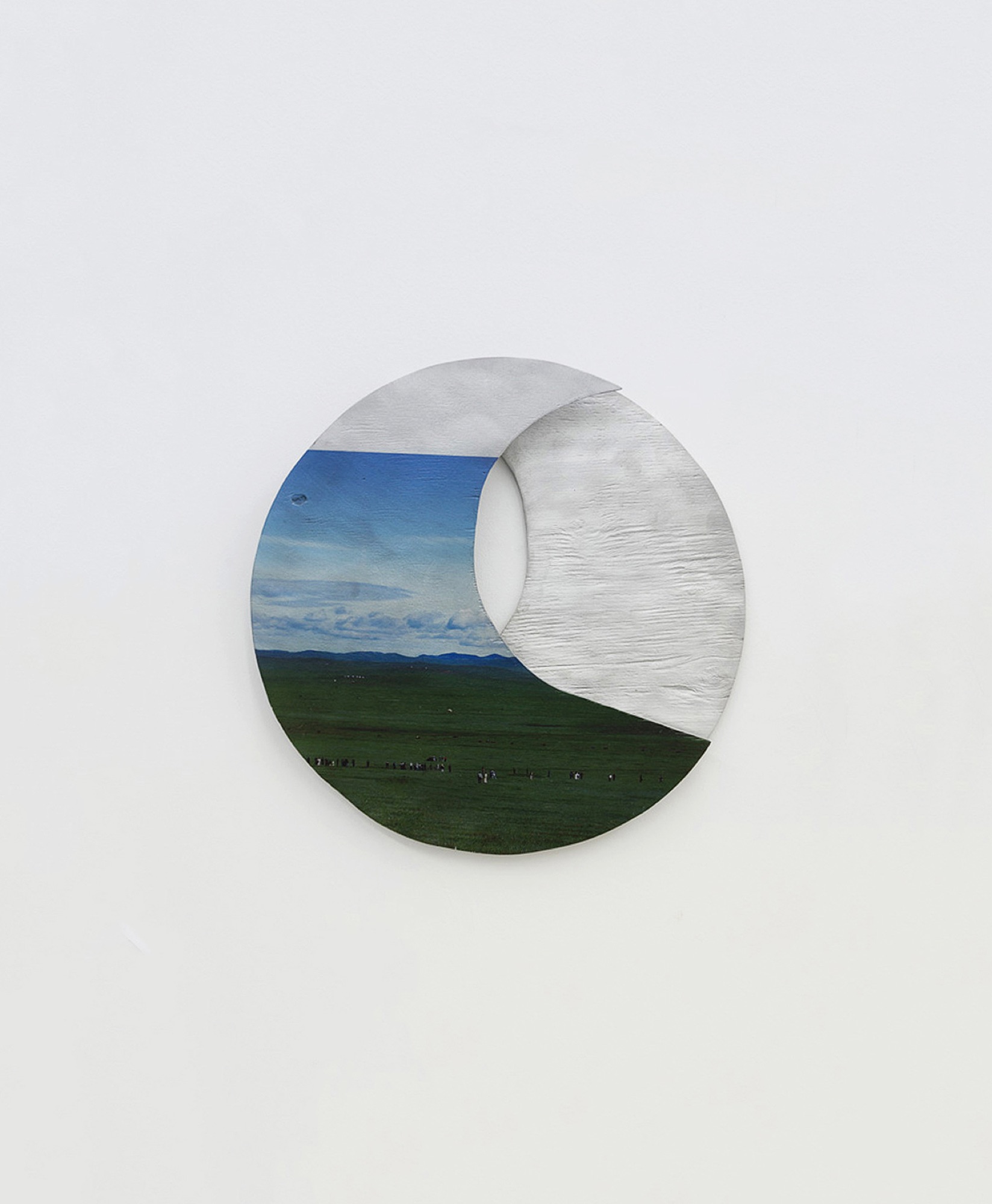 Steppe | 2013 | uv print on cast aluminium | 30 x 30 cm | https://www.meer.com/en/3822-the-mediterranean-dog